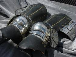 Splint Legs with Rondell Knee